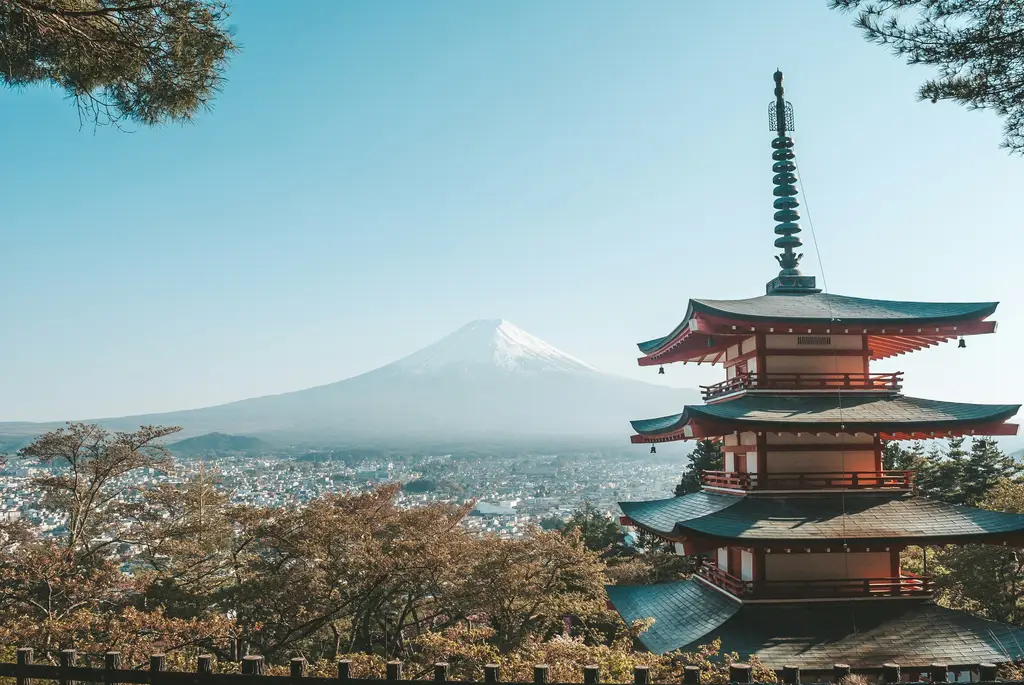 東京自由行攻略：從規劃到玩樂，一次搞定！