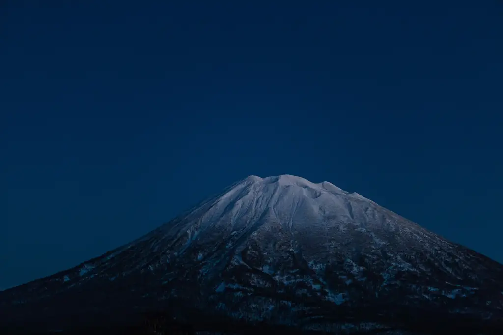 東京自由行網路:玩轉東京的必備指南