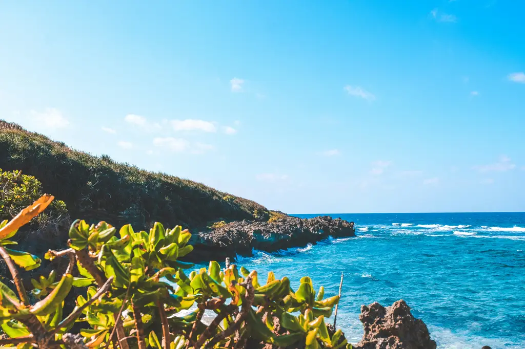 東京觀光旅遊書：暢遊大都會的完美指南