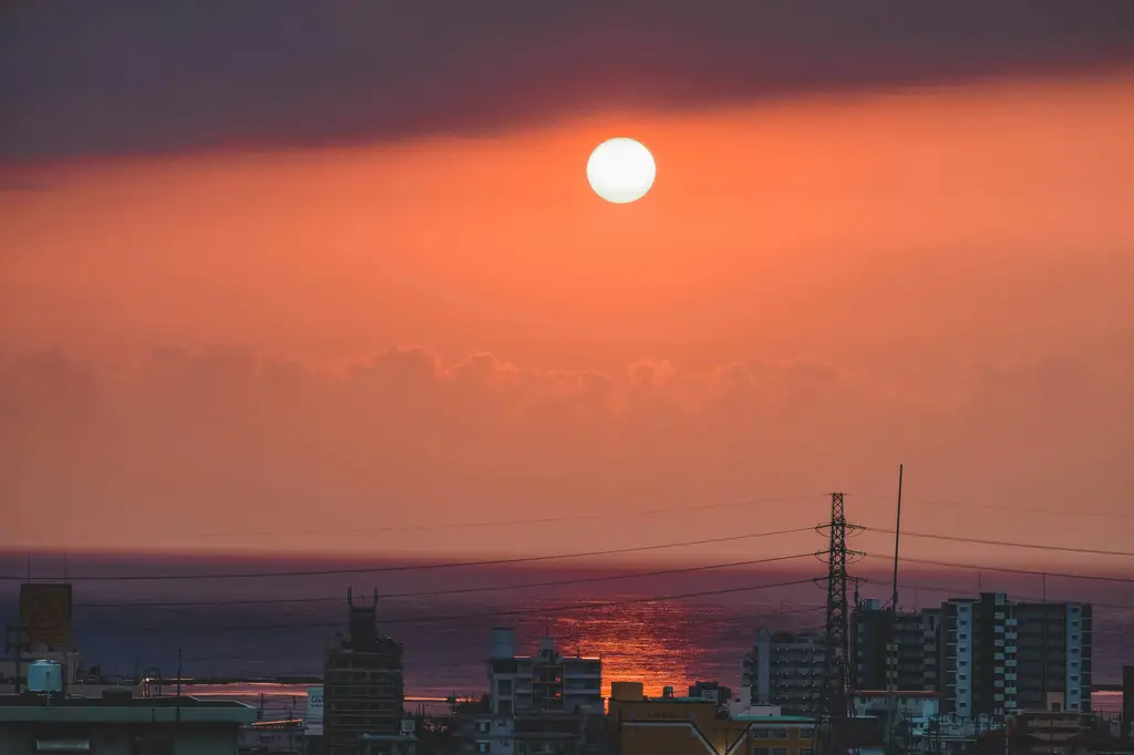 東京深度之旅：完整攻略與推薦行程