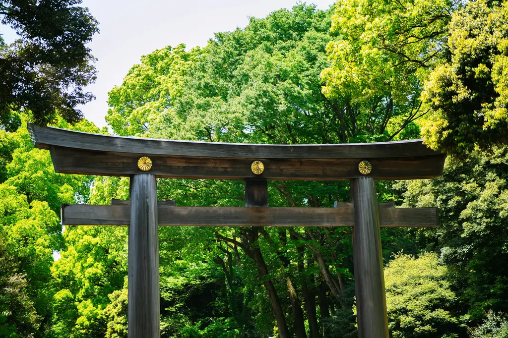 東京自由行大攻略:從交通、住宿到美食購物,一次搞定!