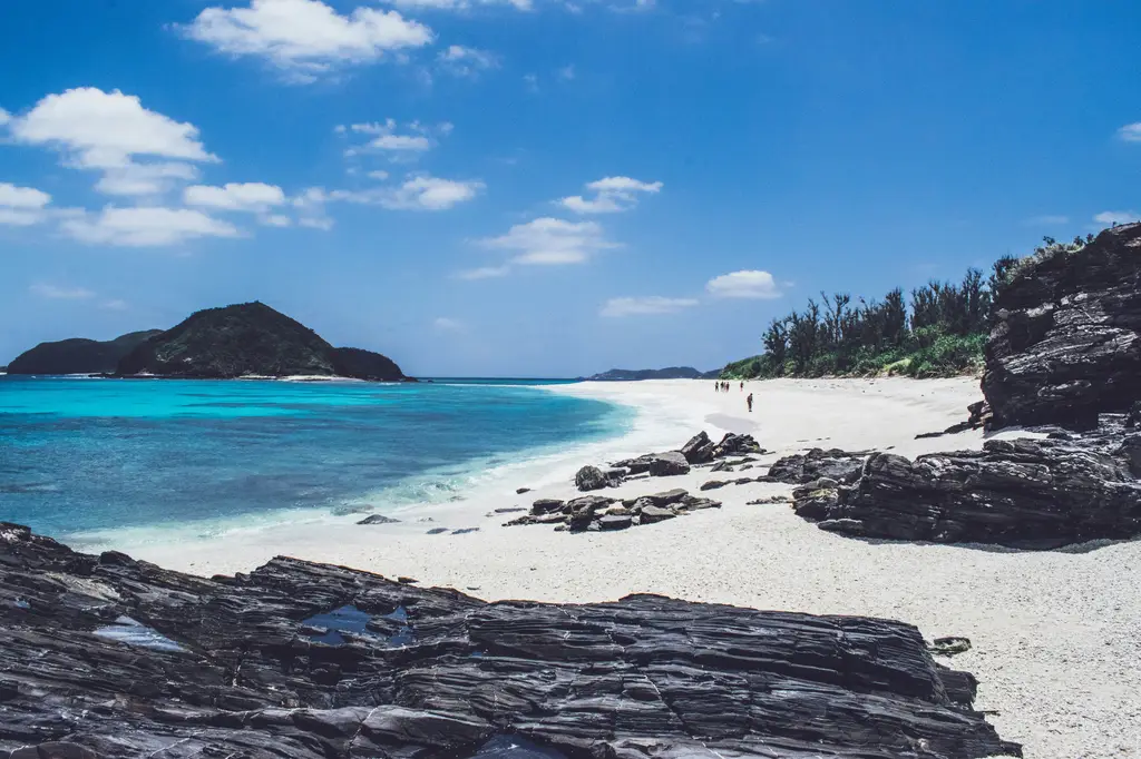 東京五天四夜冒險指南：文化體驗與城市探索之旅
