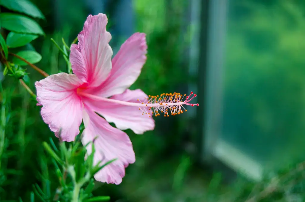 東京5天4夜深度遊：玩轉東京、品味日式風情
