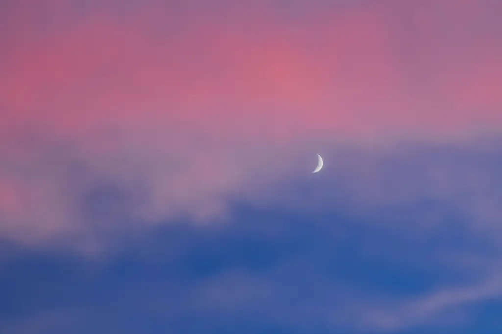 東京7天6夜暢遊攻略：滿足你食、宿、遊、買的慾望！